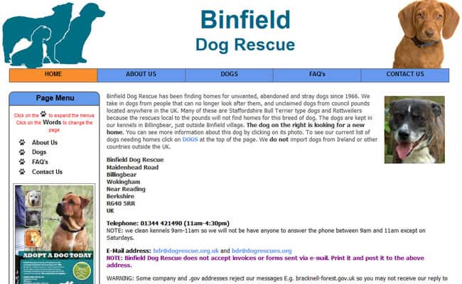 Binfield Dog Rescue, Wokingham