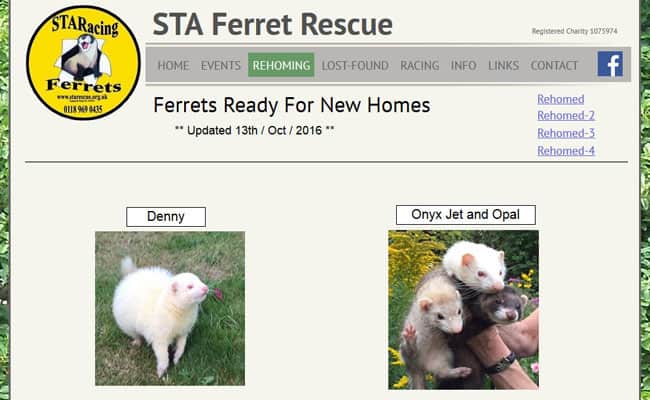 STA Ferret Rescue, Reading