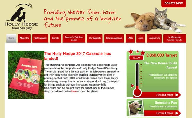 Holly hedge best sale dogs for rehoming