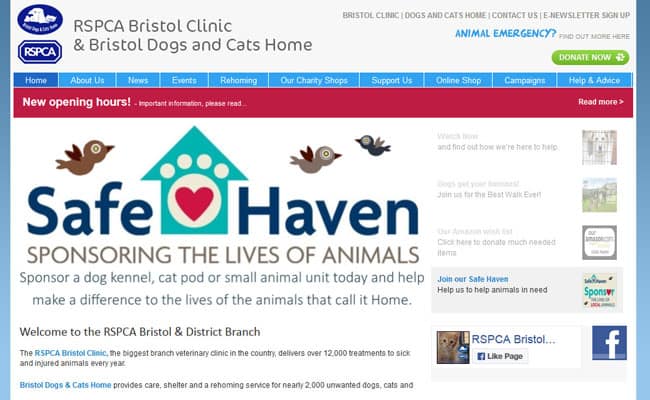 Bristol Dogs and Cats Home, Bristol