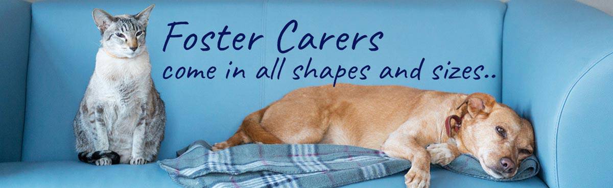 Foster carers for pets