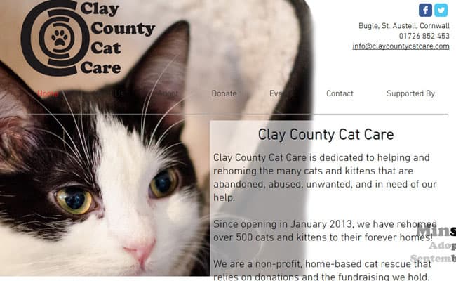 Clay County Cat Care, St. Austell