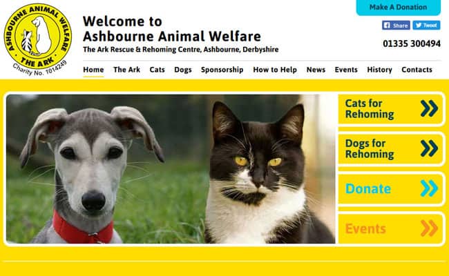 Ark animal best sale rescue centre