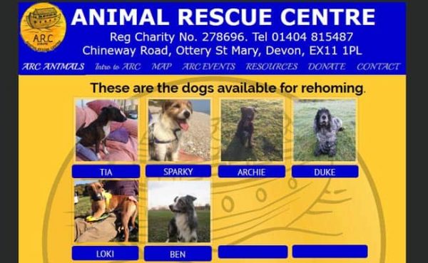 A R C Animal Rescue Centre, Ottery St. Mary - Pet Rescue and Animal