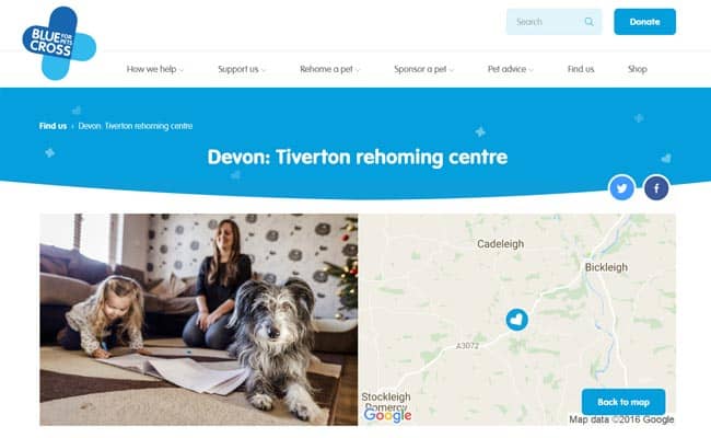 Blue Cross Rehoming Centre, Tiverton