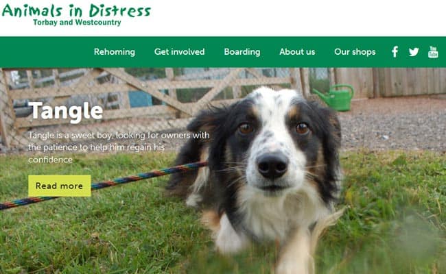 Animals in Distress, Newton Abbot