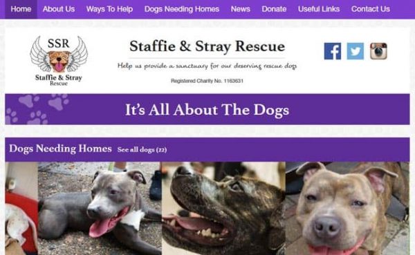 Staffie and Stray Rescue, Bournemouth Pet Rescue and