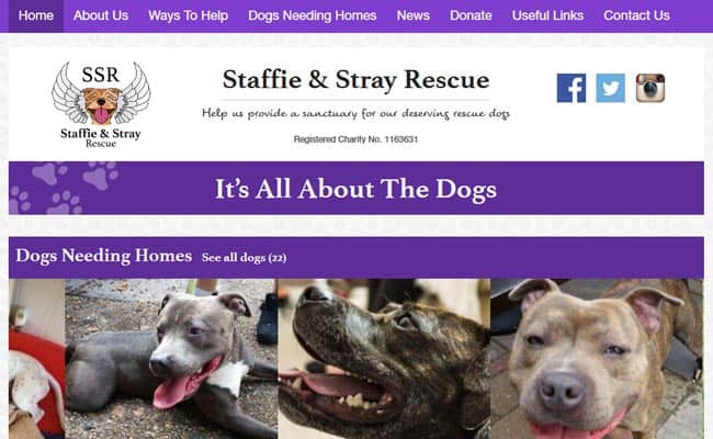 Staffie and Stray Rescue, Bournemouth
