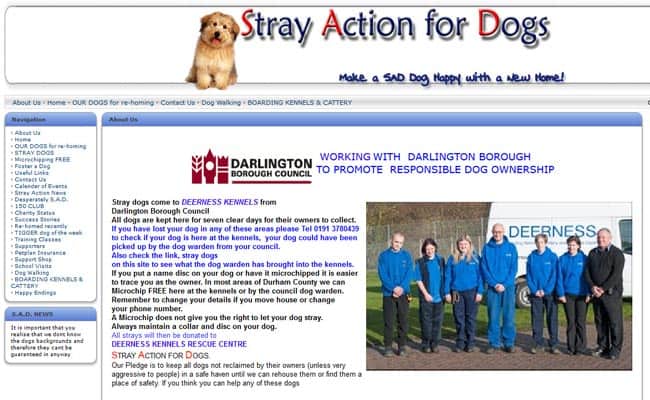 Deerness 2024 dog rehoming