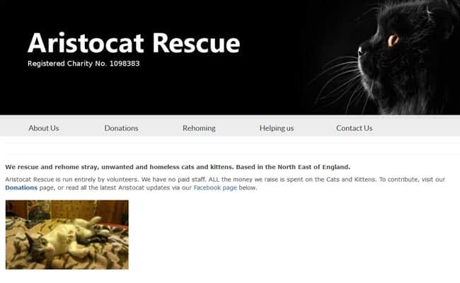 Aristocat Rescue, Newton Aycliffe