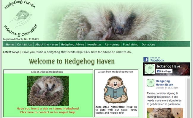 Hedgehog Haven Rescue, Frinton-On-Sea