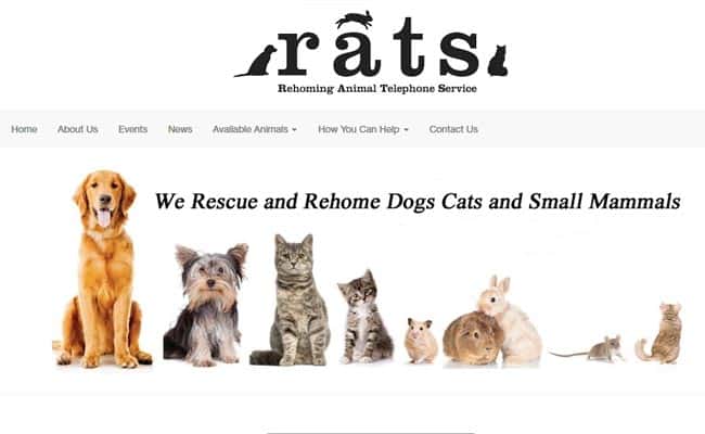 Rehoming Animal Telephone Service