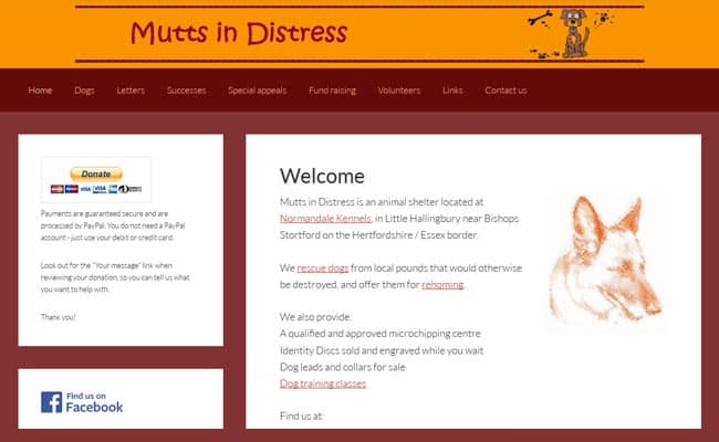 Mutts in Distress, Bishops Stortford