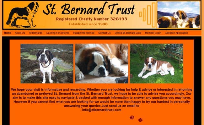 St bernard's sale available for adoption