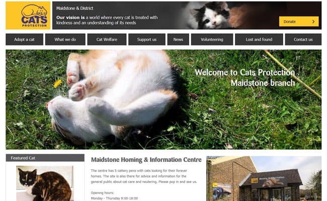 Cats Protection, Maidstone