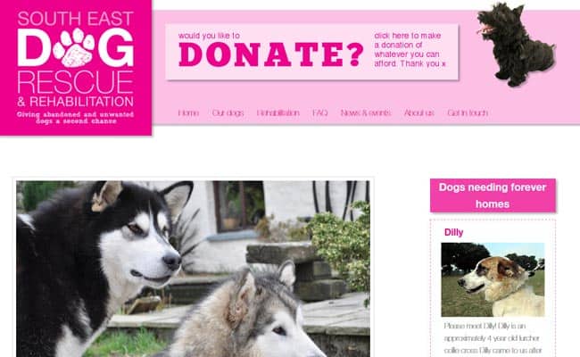 South East Dog Rescue, Ashford