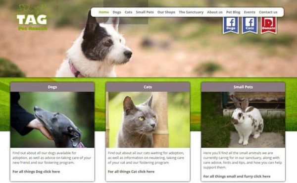 Tag Pet Rescue, Margate Pet Rescue and Animal Welfare