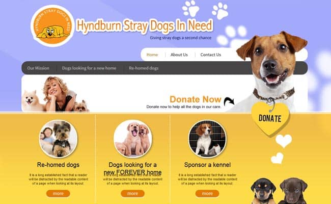 Hyndburn Straydogs in Need, Accrington