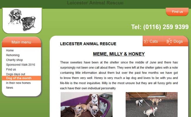 Leicester Animal Rescue, Billesdon