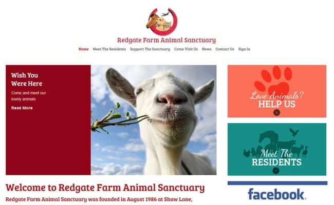 Redgate Farm Animal Sanctuary, Markfield