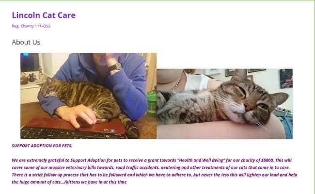 Lincoln Cat Care, Lincoln