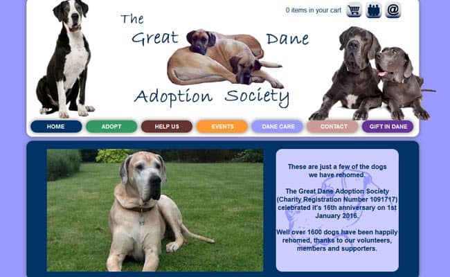 Great dane best sale shelter near me