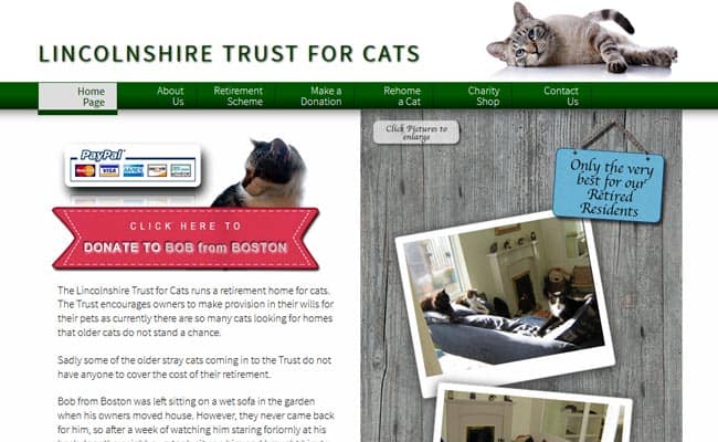 The Lincolnshire Trust for Cats, Market Rasen