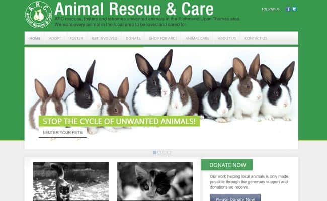 Animal Rescue and Care, Richmond upon Thames