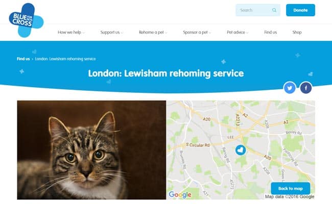 Blue Cross Rehoming Service, Lewisham