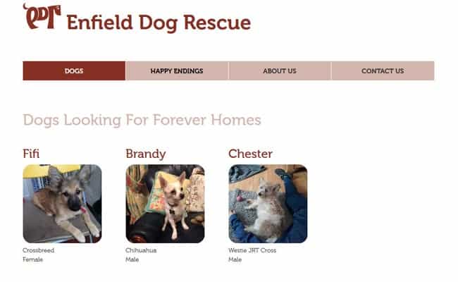 Enfield Dog Rescue, Enfield