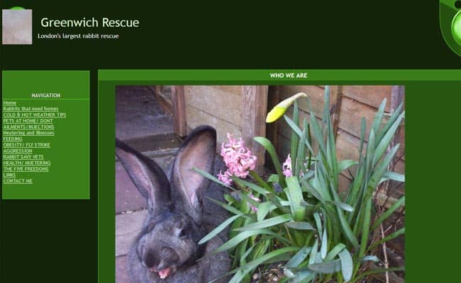 Greenwich Rabbit Rescue, London