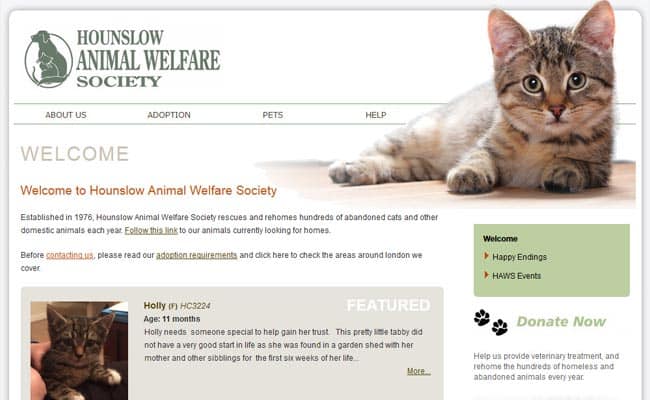 Cat welfare society store adoption