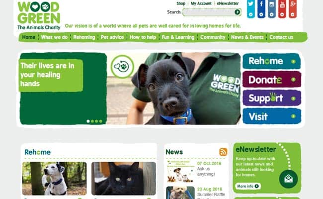 wood green dog rescue centre