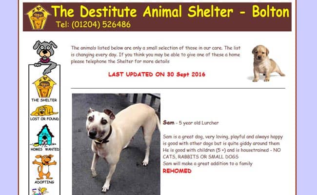 Destitute Animal Shelter, Bolton