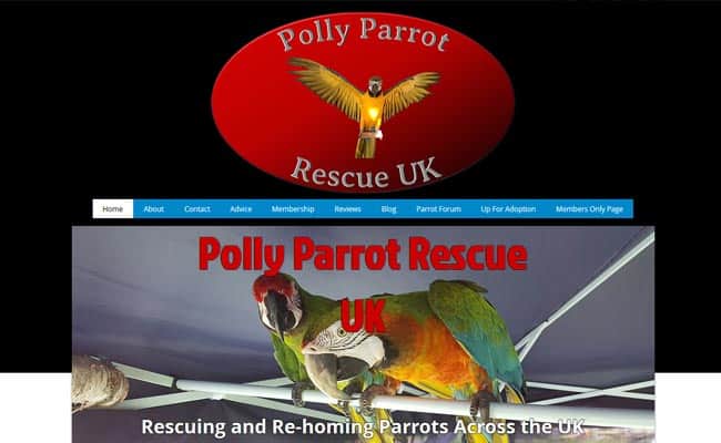 Polly Parrot Rescue UK, Manchester