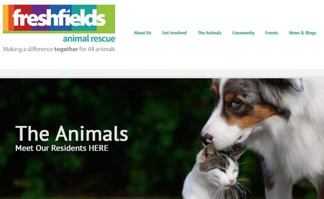 Freshfields Animal Rescue Centre, Liverpool