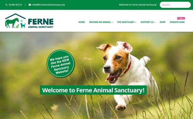 Ferne store sanctuary dogs