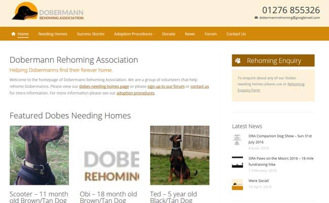 Doberman rehoming store