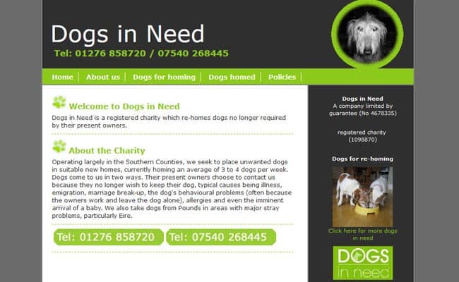 Dogs In Need, Chobham