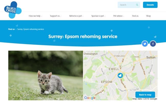 Blue Cross Epsom Rehoming Service, Ewell