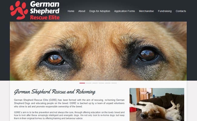 Alsatian rescue hot sale