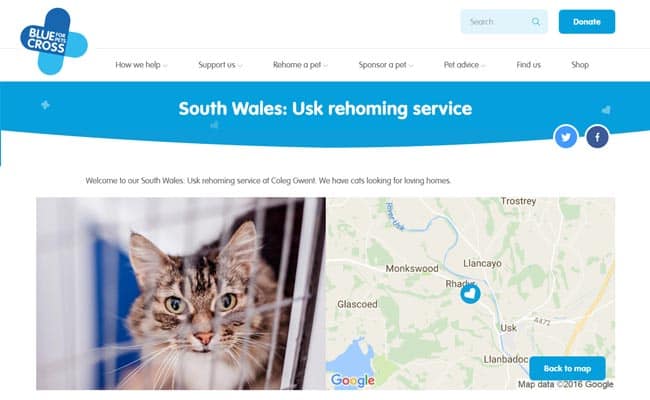 Blue Cross S. Wales Rehoming Service, Usk