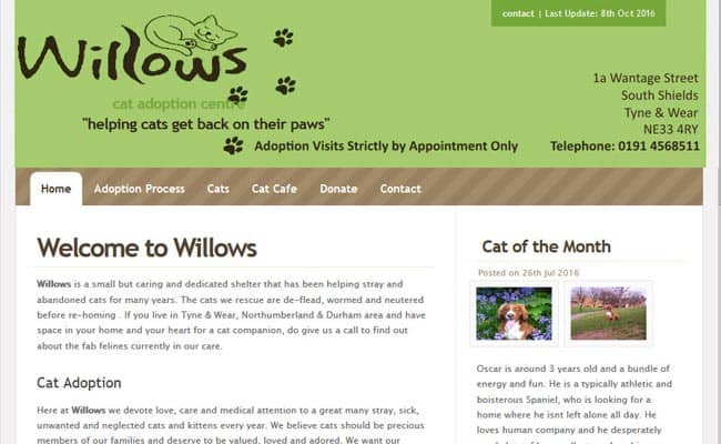 Willows Cat Adoption Centre, South Shields