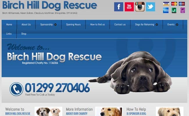 Birch Hill Dog Rescue, Kidderminster