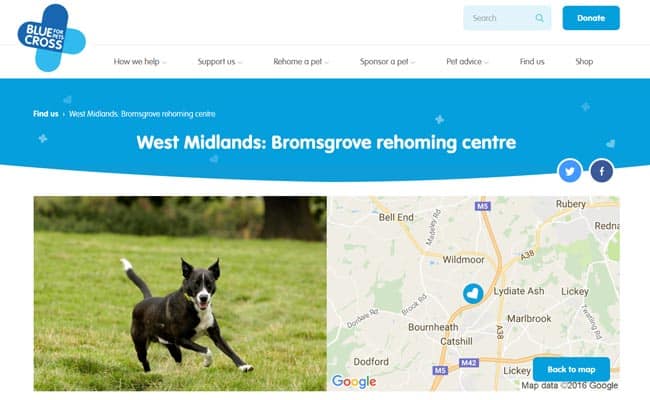 Blue Cross Rehoming Centre, Bromsgrove