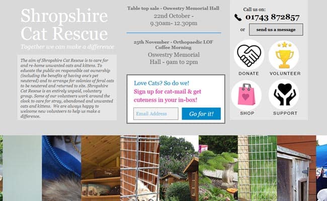 Shropshire Cat Rescue, Shrewsbury