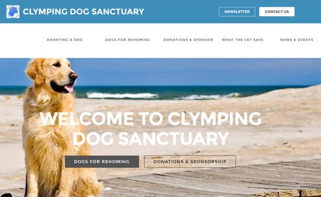 Rehoming a hot sale dog website