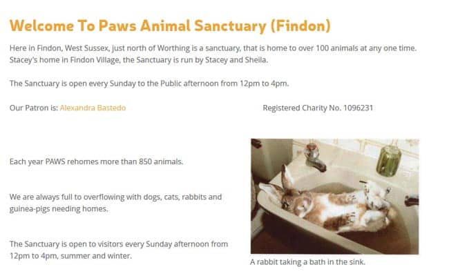 Paws Animal Sanctuary (Findon), Worthing