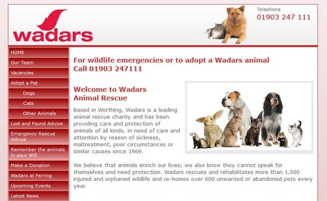 Wadars Animal Rescue, Worthing