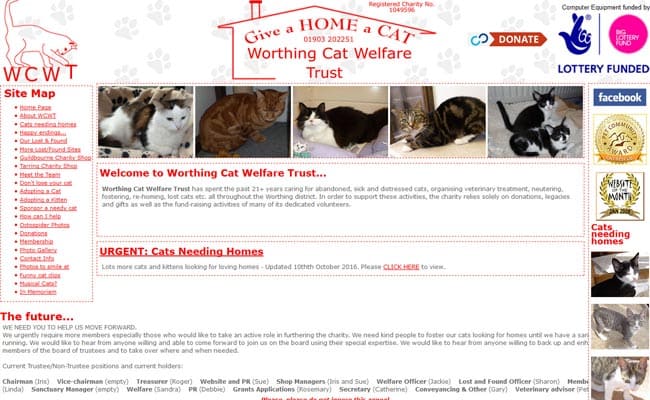 Worthing Cat Welfare Trust, Worthing